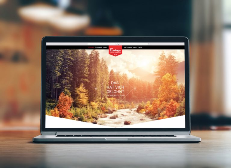 Die Entstehung einer Website