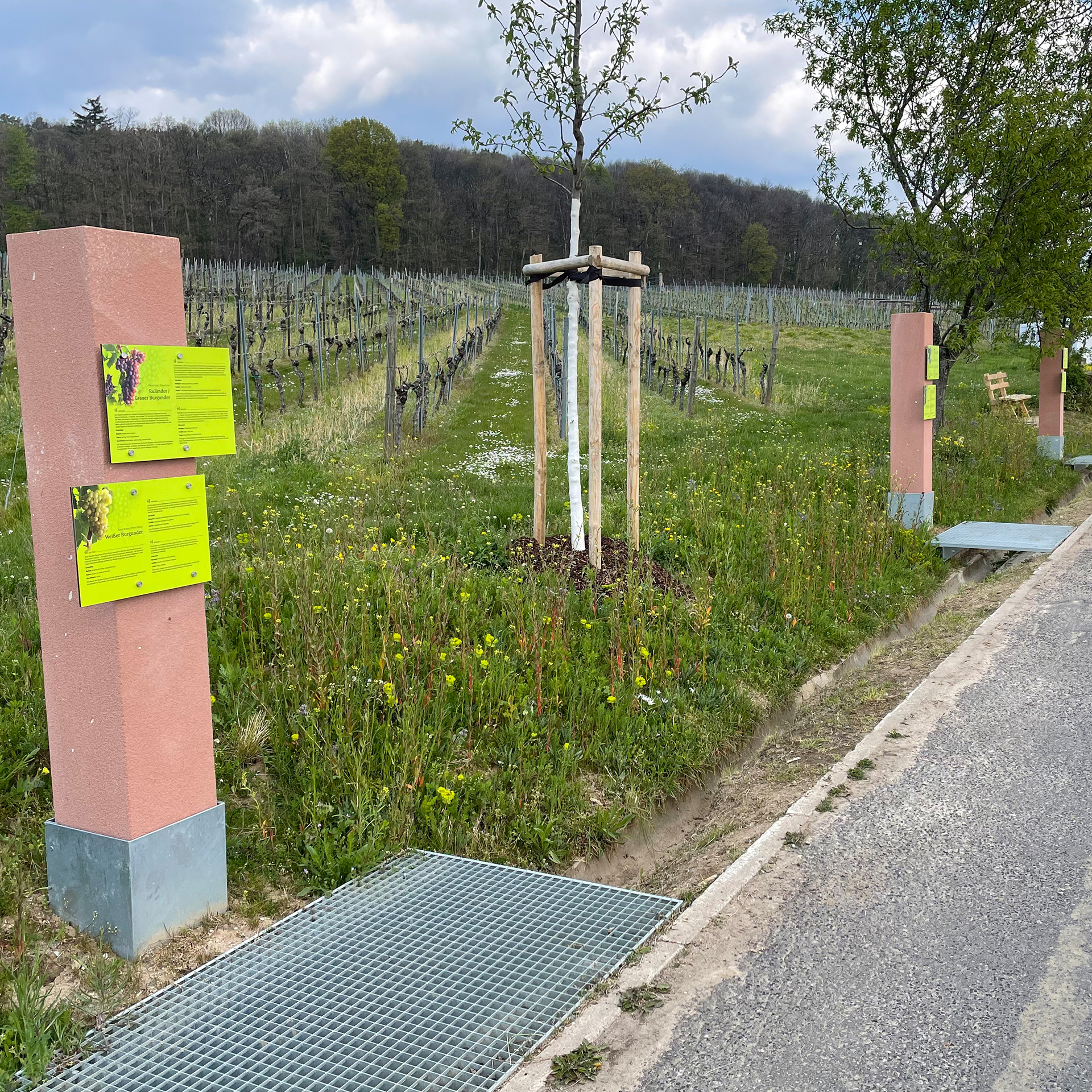 Sabath Media Werbeagentur - Gemeinde Schweigen Rechtenbach - Referenzbild 2